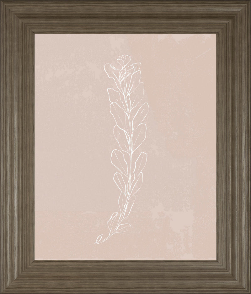 Blush Bloom II BY Annie Warren
