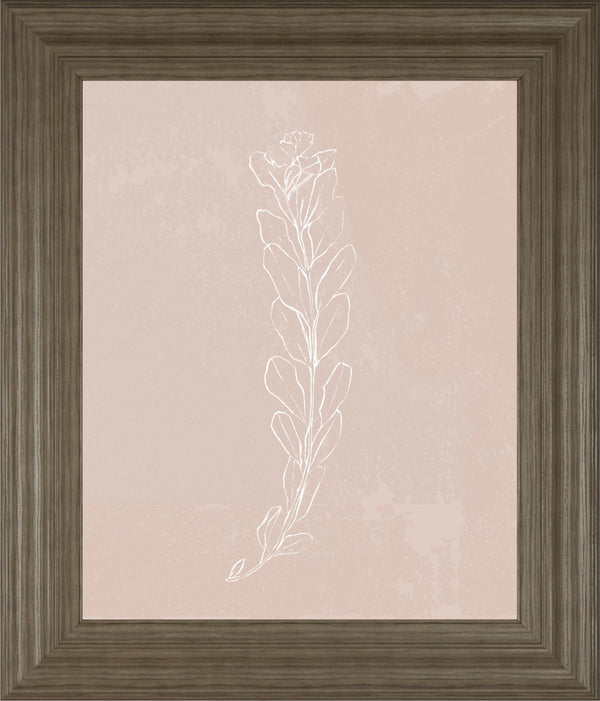 Blush Bloom II BY Annie Warren