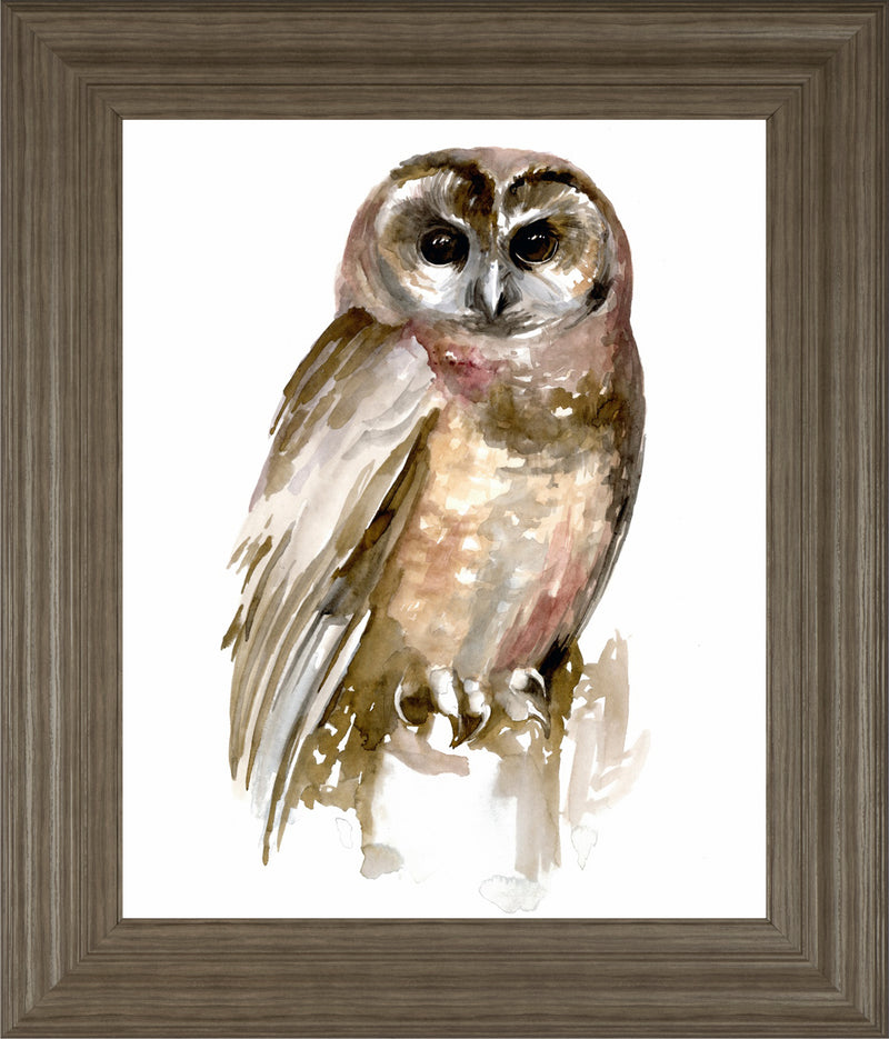 Watercolor Owl II BY Jennifer Paxton Parker