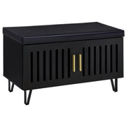 Banco de almacenamiento para zapatos acolchado de dos puertas para entrada Brixton, color negro