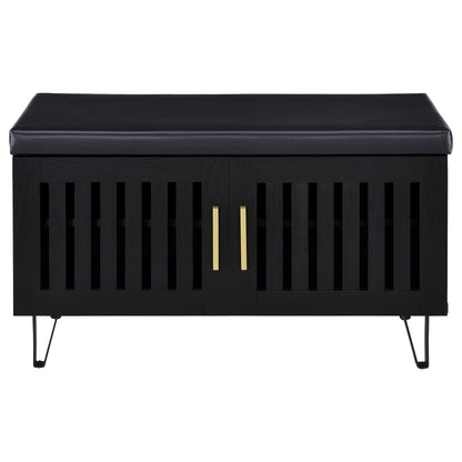 Banco de almacenamiento para zapatos acolchado de dos puertas para entrada Brixton, color negro
