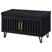 Banco de almacenamiento para zapatos acolchado de dos puertas para entrada Brixton, color negro