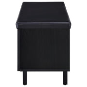 Banco de almacenamiento para zapatos acolchado de dos puertas para entrada Brixton, color negro