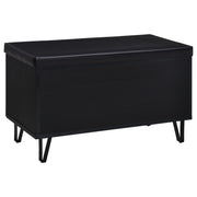 Banco de almacenamiento para zapatos acolchado de dos puertas para entrada Brixton, color negro