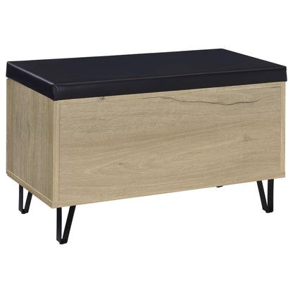 Banco de almacenamiento para zapatos acolchado de dos puertas para entrada Brixton, color negro