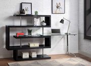 Buck II 55"L Writing Desk with Bookshelf