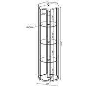 Zahavah 4-shelf Hexagonal Clear Glass Curio Cabinet Black