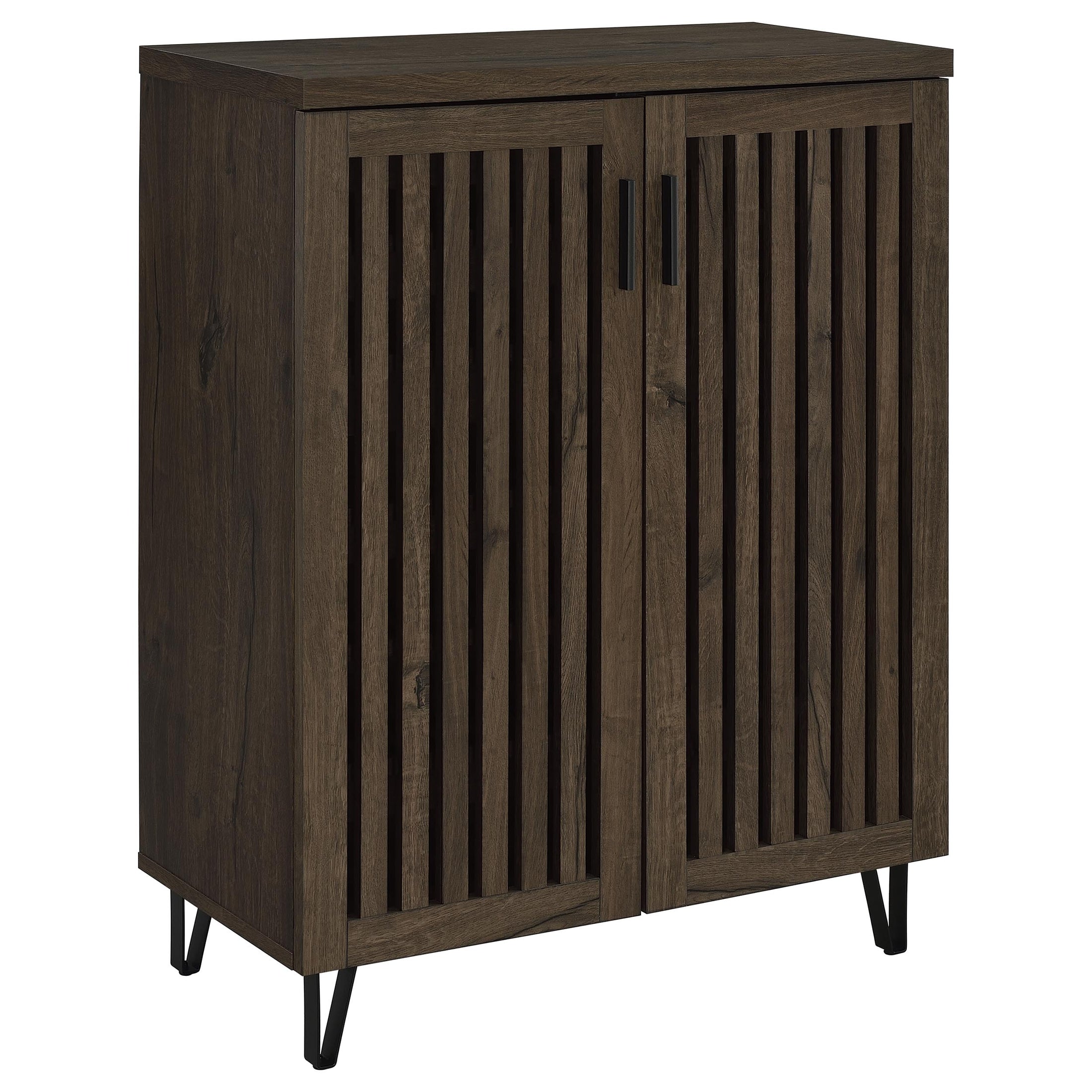 Brixton 2-door Entryway Shoe Storage Cabinets Black