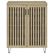Brixton 2-door Entryway Shoe Storage Cabinets Black