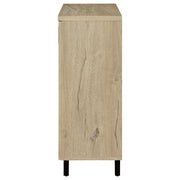 Brixton 2-door Entryway Shoe Storage Cabinets Black