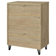 Brixton 2-door Entryway Shoe Storage Cabinets Black