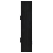 Riva 4-door Tall Accent Display Cabinet LED Lighting Black