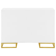 Gabinete de almacenamiento de madera Elsa de 2 puertas, blanco y dorado