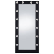 Zayan 32 x 71 Inch Floor Mirror LED Lighting Black Gloss