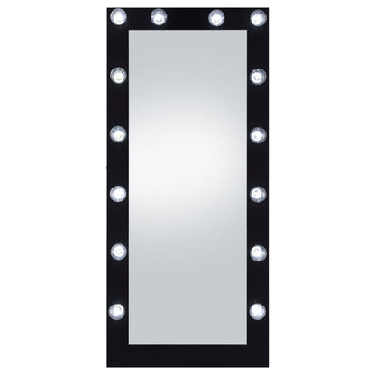Zayan 32 x 71 Inch Floor Mirror LED Lighting Black Gloss