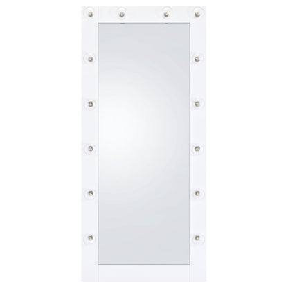 Zayan 32 x 71 Inch Floor Mirror LED Lighting Black Gloss