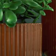 Avalyah Vase (2/CS)