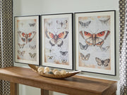 Jossletts Wall Art Set (3/CN)