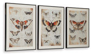 Jossletts Wall Art Set (3/CN)