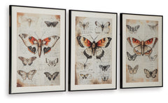 Jossletts Wall Art Set (3/CN)
