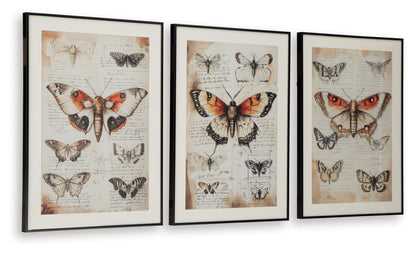 Jossletts Wall Art Set (3/CN)