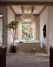 roomscene