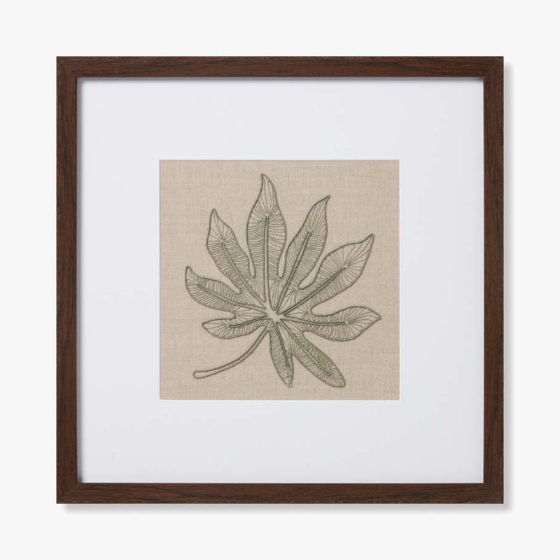 SCHEFFLERA