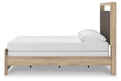 Hollymount Queen Upholstered Panel Bed
