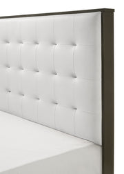 Sharpe Bed