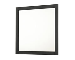 Nemy Dresser Mirror