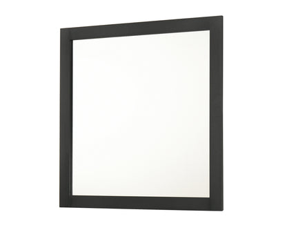 Nemy Dresser Mirror
