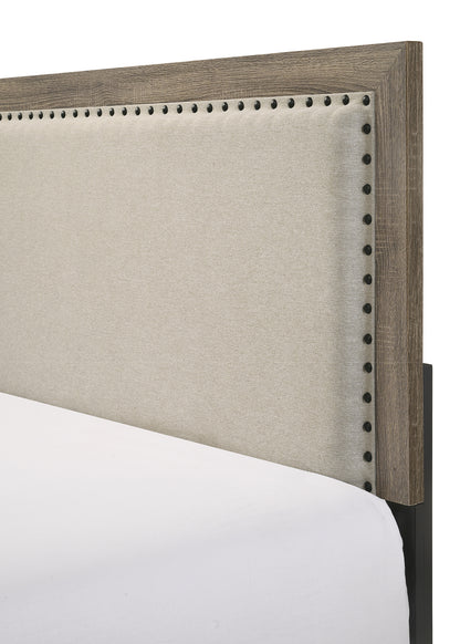 Millie Upholsteredolstery Bed One Box -Grey