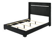 Gennro Bed