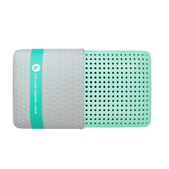 Bio Aloe Queen Pillow