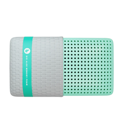 Bio Aloe Queen Pillow