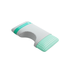 Bio Aloe Queen Surround Pillow