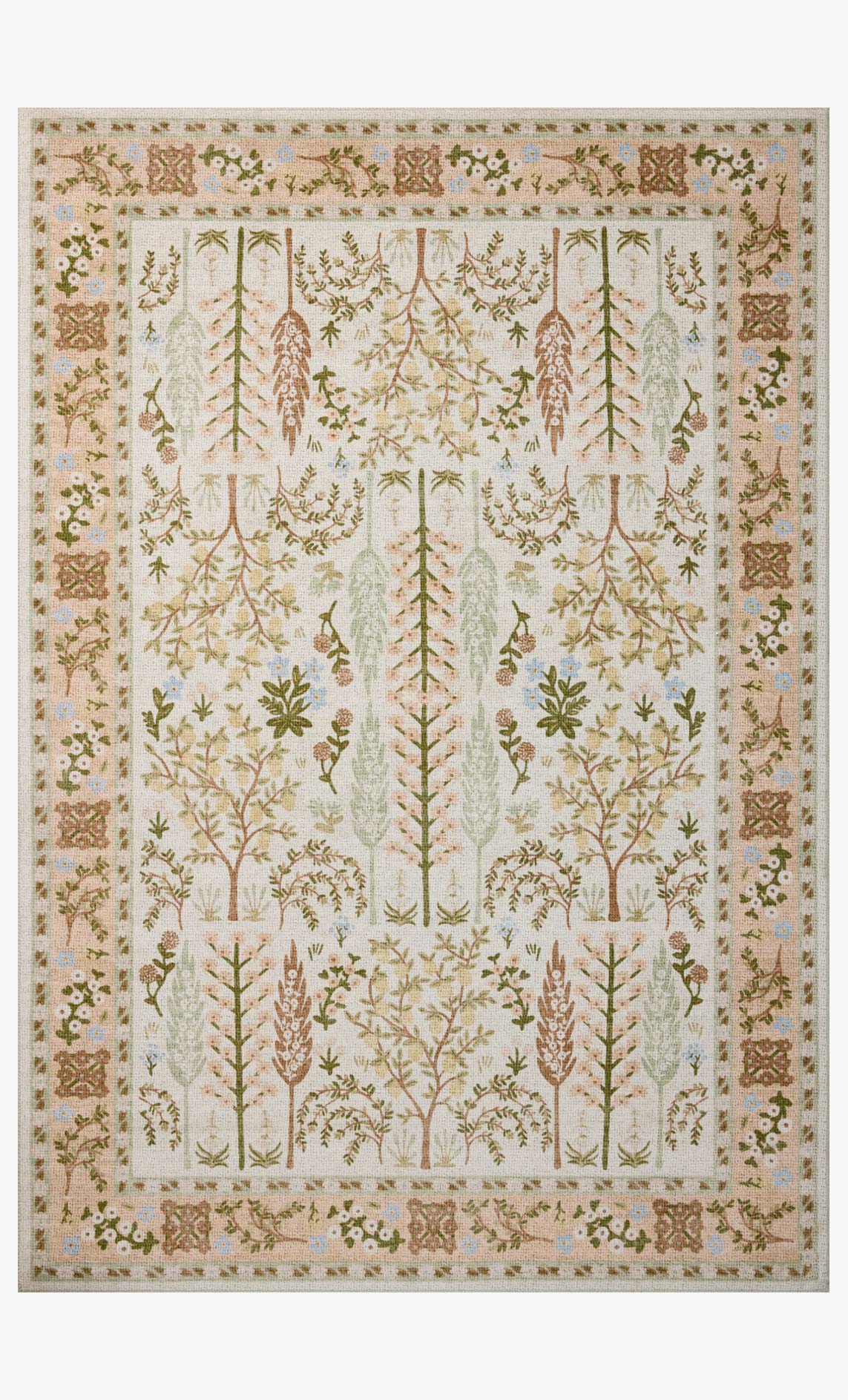 CNP-01 CREAM