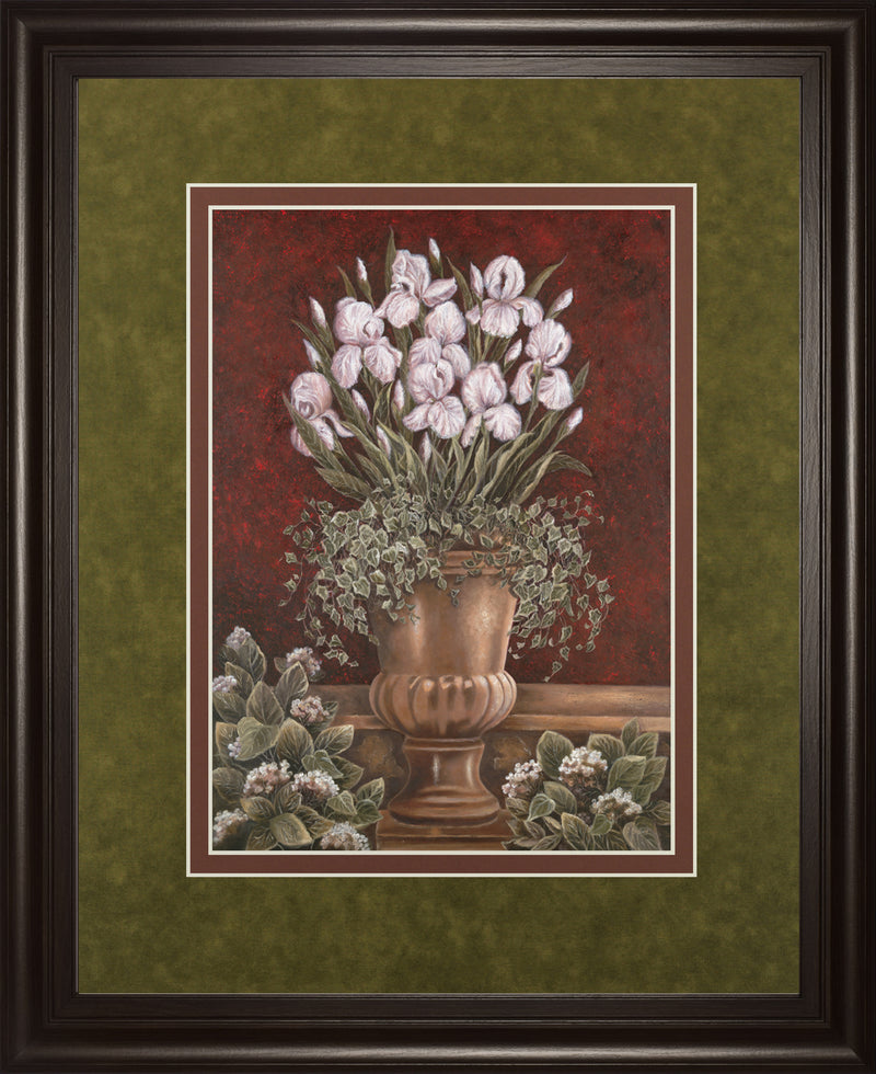 Hannah'S Irises By Betsy Brown