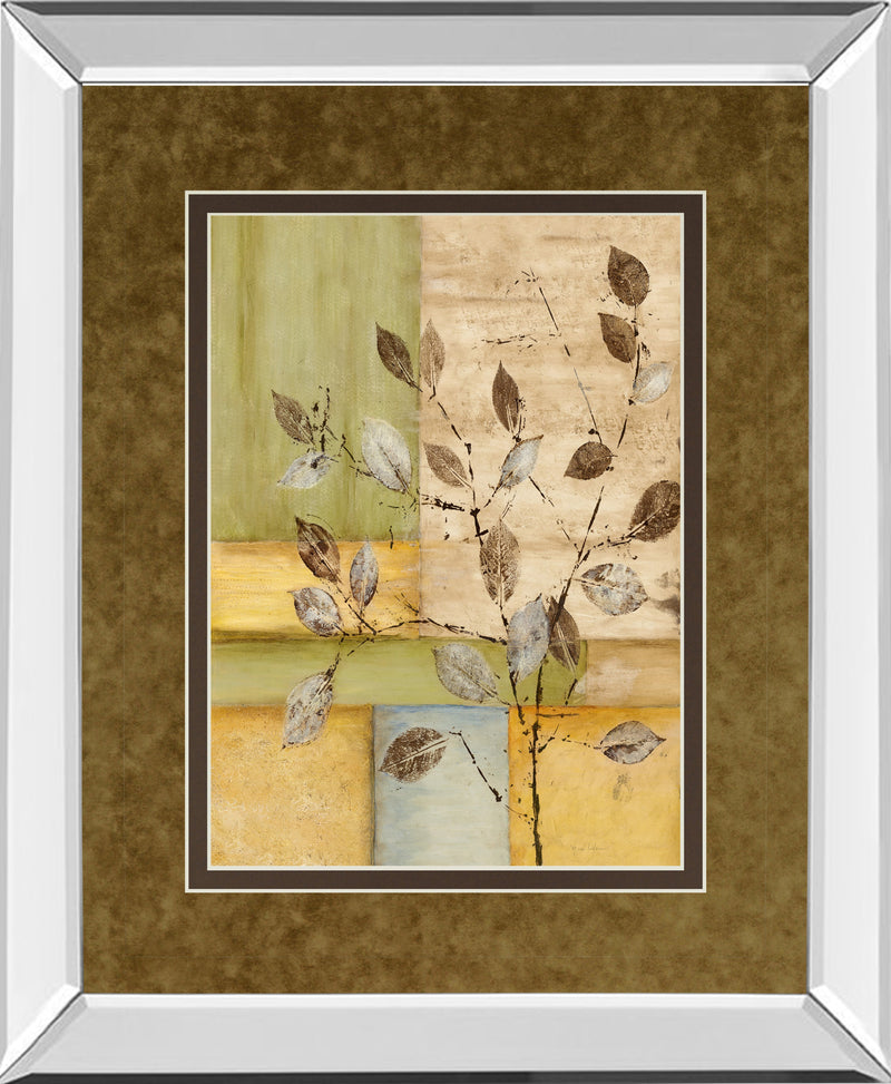 Mirrored Frame Urban Garden II By Norm Olson