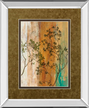 Mirrored Frame Spring Branch II By Norm Olson