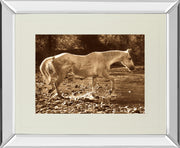 Mirrored Frame The Crossing By Wendy Caro