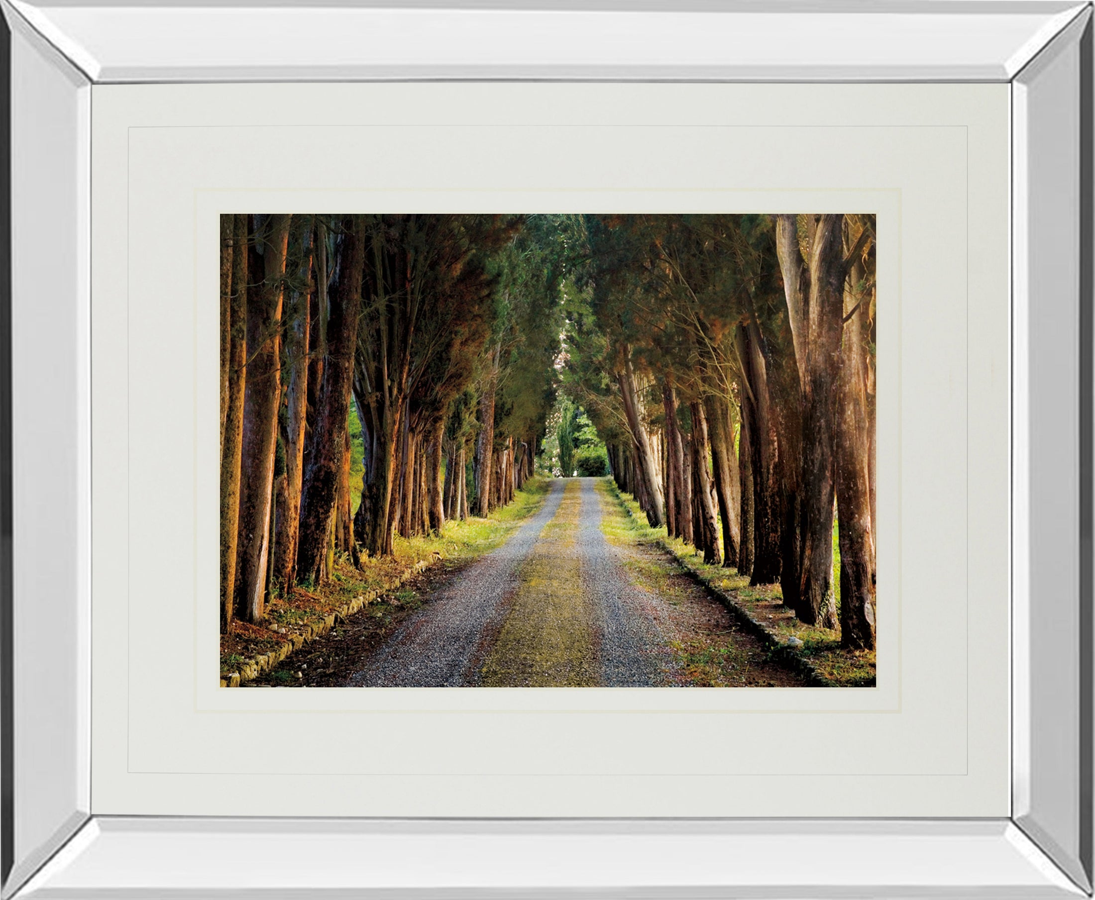 Mirrored Frame Tree Tunnel By Michael Tunnel ***Monl***
