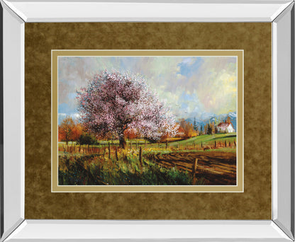 Mirrored Frame Spring Blossoms By Larry Winborg