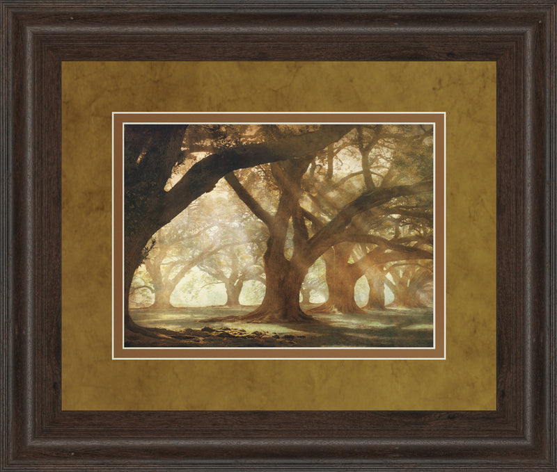 Oak Alley Morning Light By William Guion