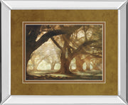 Mirrored Frame Oak Alley Morning Light By William Guion