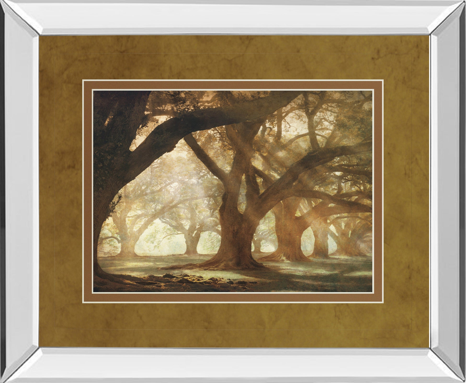 Mirrored Frame Oak Alley Morning Light By William Guion
