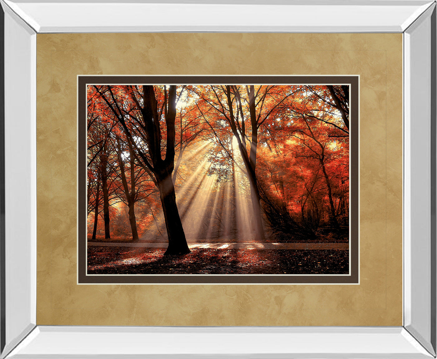 Mirrored Frame Dressed To Shine By Lars Van De Goor
