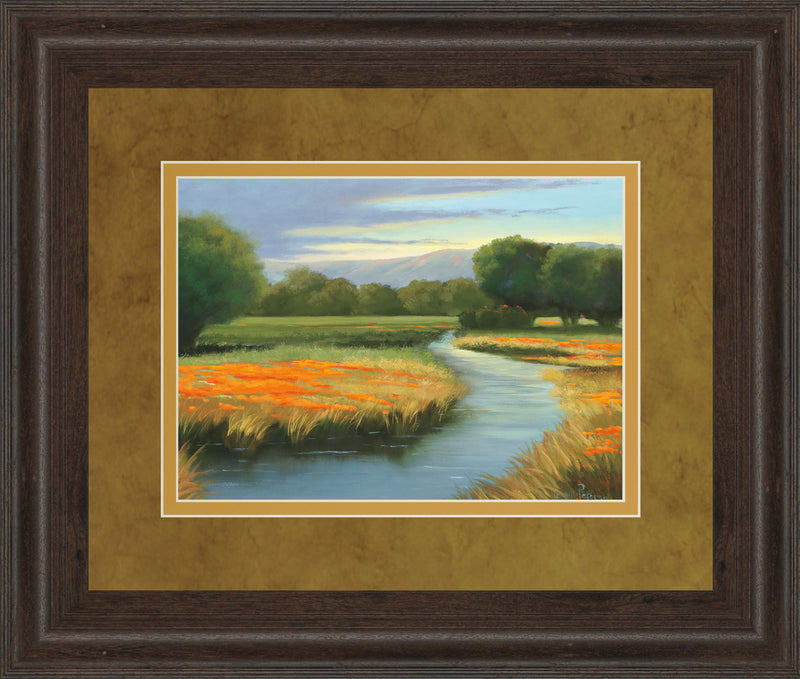 California Orange By Julie Peterson