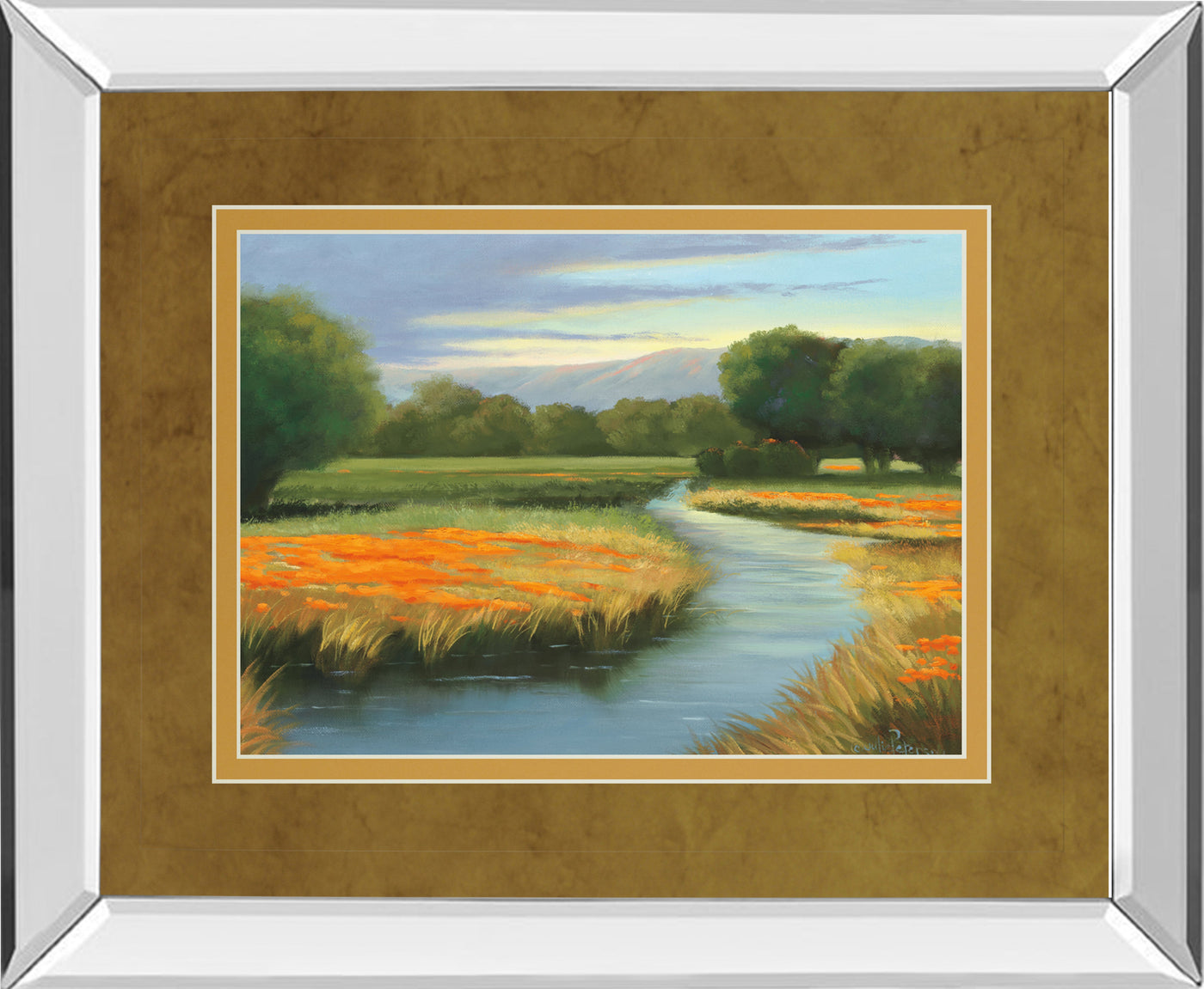 Mirrored Frame California Orange By Julie Peterson