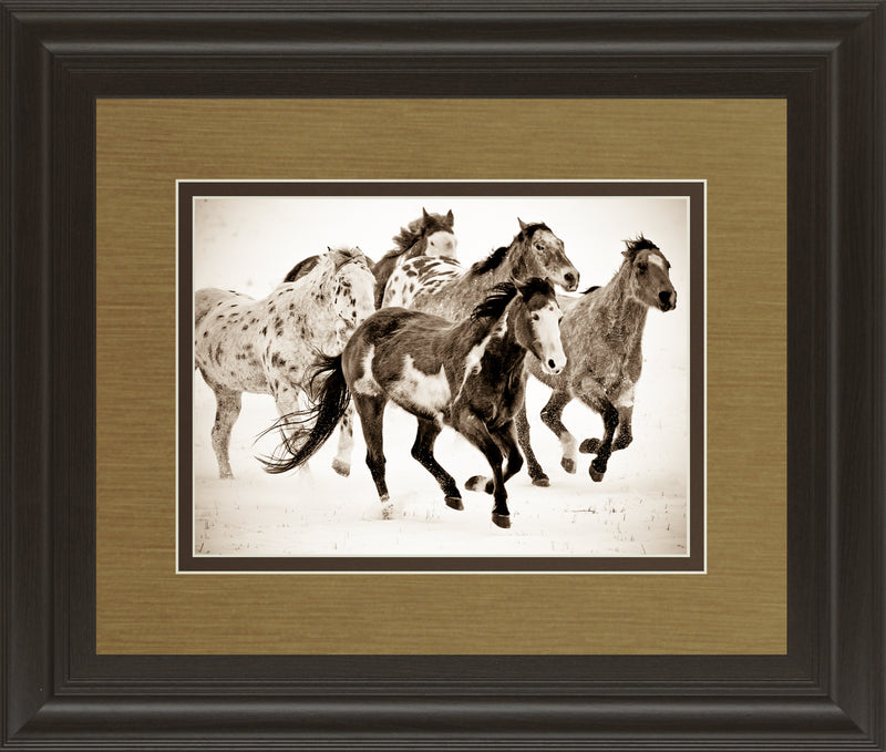 Painted Horses Run By Carol Walker